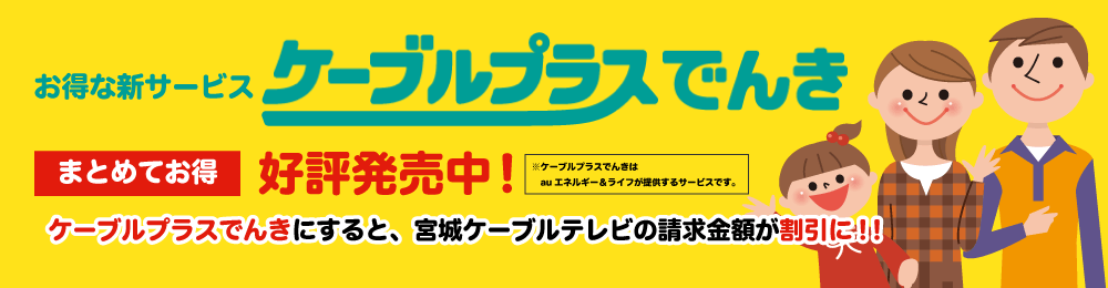 お得な新サービスケーブルプラス電気