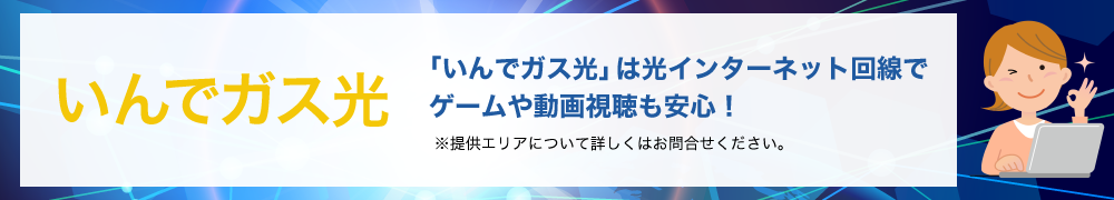 お得な新サービスケーブルプラス電気