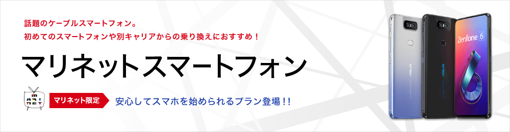 お得な新サービスケーブルプラス電気